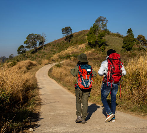 Darjeeling Trek & Trail