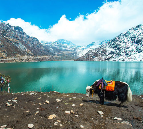 Darjeeling Sikkim Blissful Journey